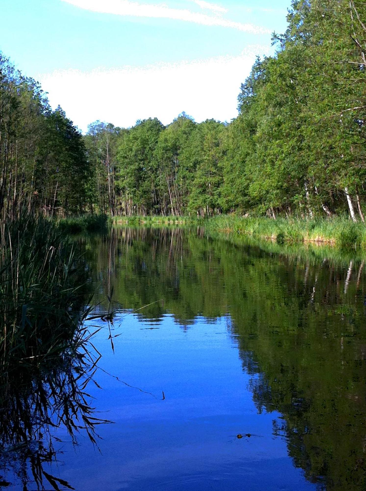 Osrodek Wypoczynkowo-Turystyczny Perla Krutyni Otel Nowy Most Dış mekan fotoğraf